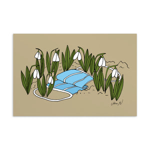 Snowdrop Postcard/Greeting Card