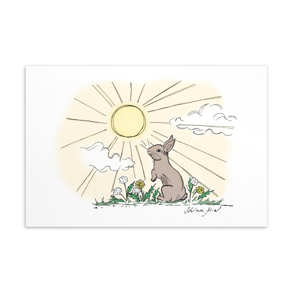 Sunshine Rabbit Postcard/Greeting Card